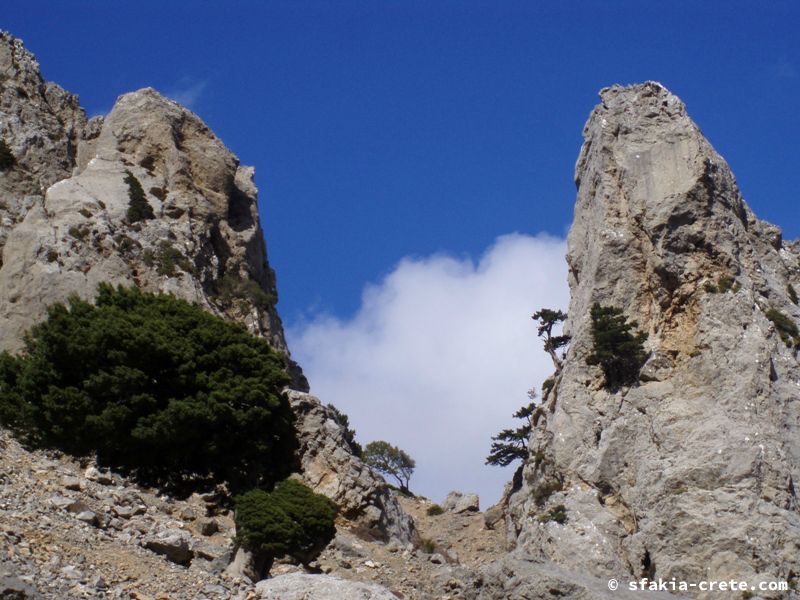 Photo report of a visit to Sfakia, Crete in October 2008